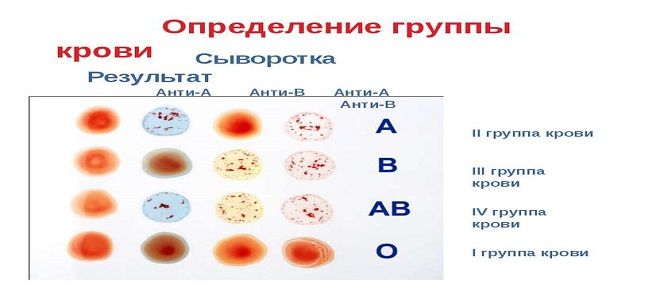 Особенности четвертое группа крови. Группа крови. 1 Группа крови. Первая положительная группа крови. Группа крови 1 полодительна.